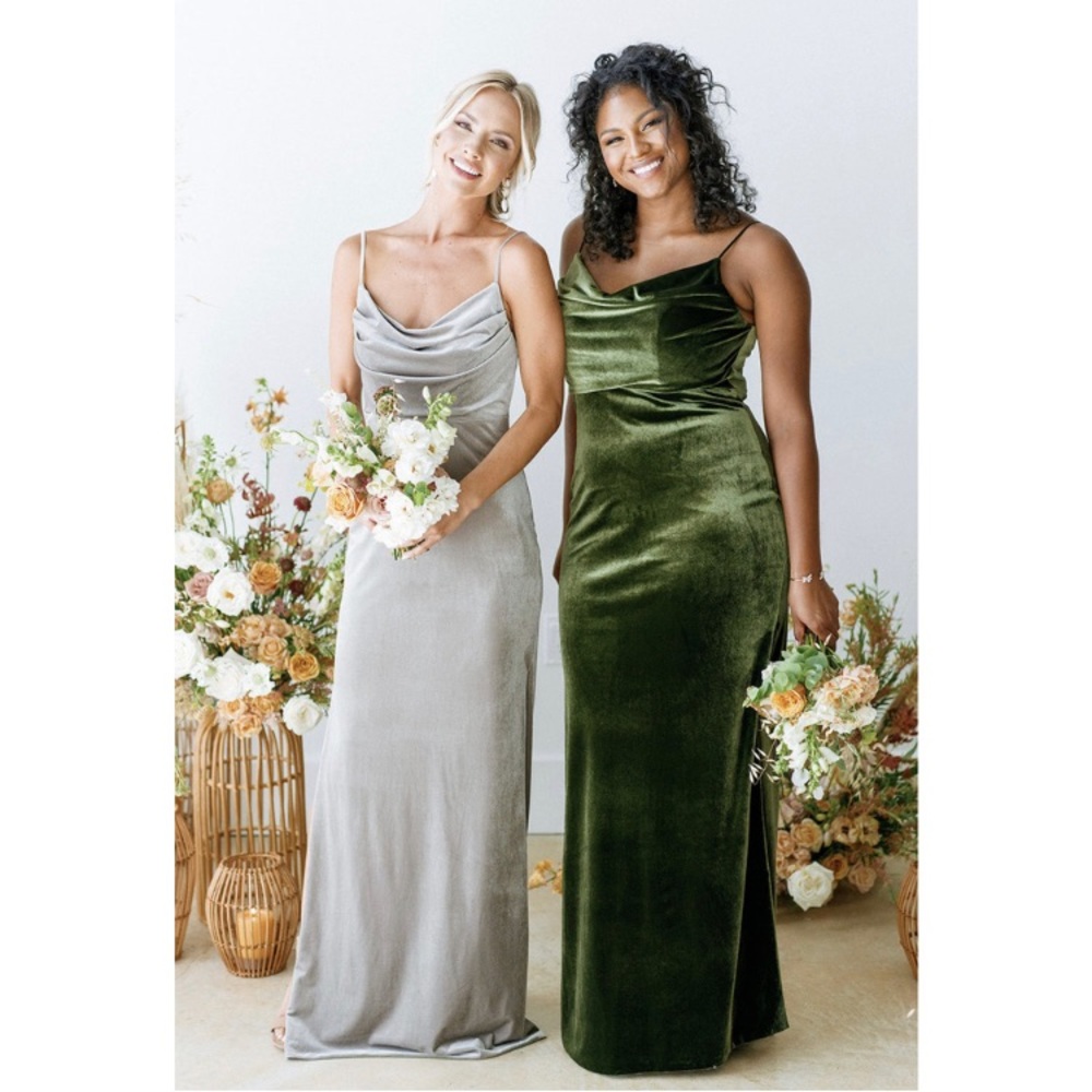 Revelry Skye Velvet Dress MSRP $245 in sage green women’s 4